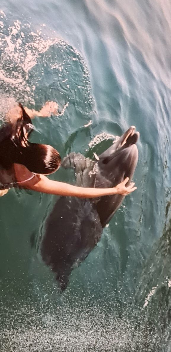 Дельфіни зіграли вирішальну роль у пробудженні мого цілительного дару.